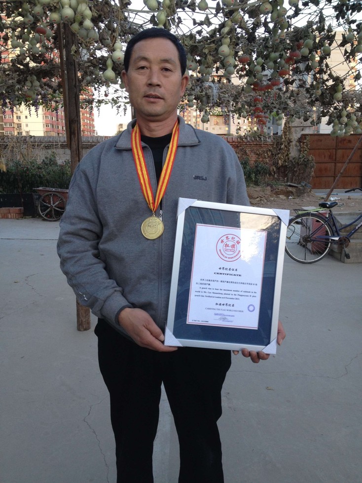 世界上结最多葫芦的一棵葫芦藤