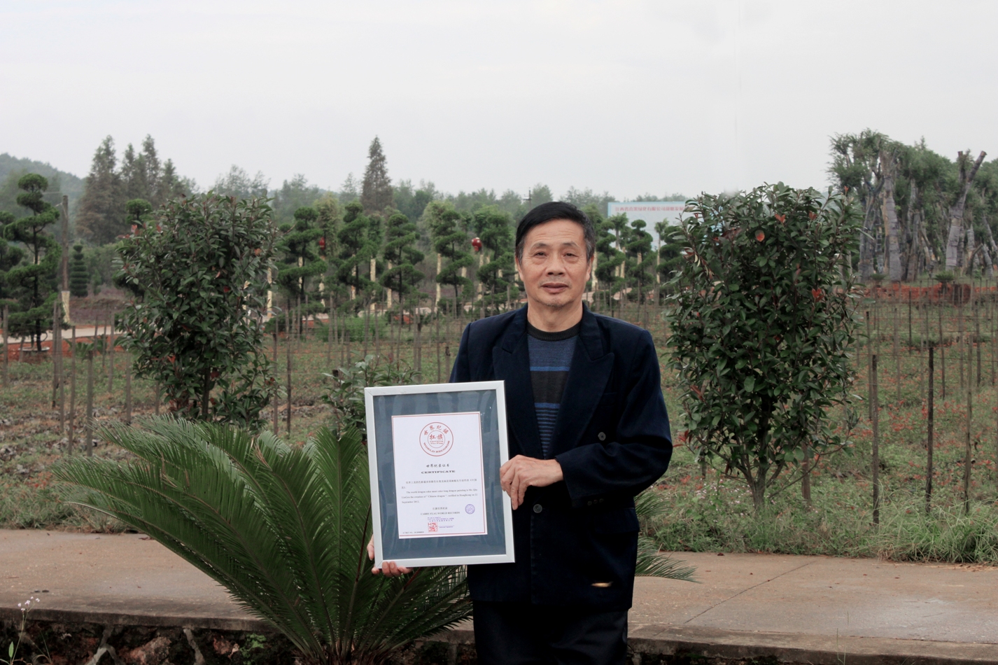 世界上龙的色彩最多的彩色长卷龙画